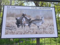 -野鸭湖国家湿地公园