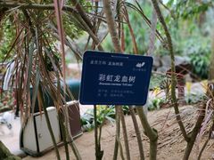 -南山植物园