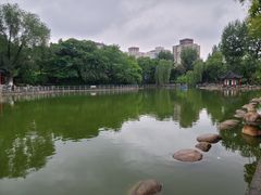 -莲湖公园