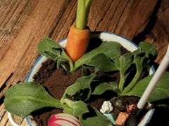 -嘉禾·悦享餐厅(八方汇店)