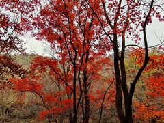 -本溪老边沟风景区