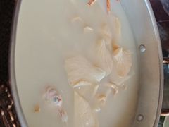 石指毛桃药膳鸽-鸽鸟轩(石岐店)