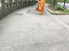 -普陀山风景名胜区-法雨禅寺