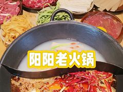 -阳阳老火锅(小南门店)