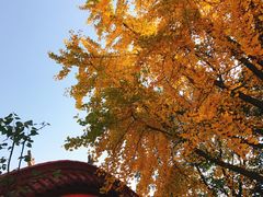 -云龙山