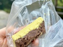 蔺大妈松花糕-蔺大妈松花糕
