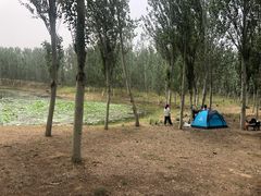 -东郊湿地公园