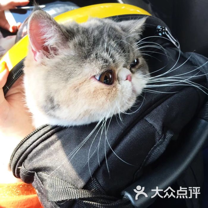 西派宠物诊所图片 第2张