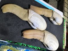 -黄沙水产交易市场
