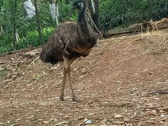 -昆明动物园