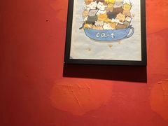 -猫色咖啡·猫咖