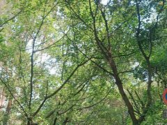 -南国桃园旅游度假区