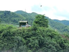 -河口景区