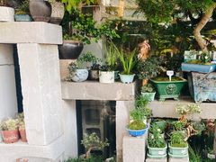 -溪岸路花鸟市场