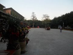 -东南花都花博园
