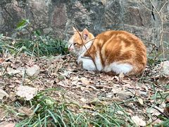 -狼山风景名胜区