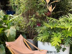 -大青树咖啡(大理古城店)