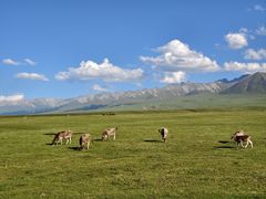 -新疆那拉提国家旅游度假区