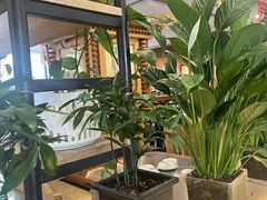 -大清花饺子(山庄店)