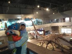 -自贡恐龙博物馆