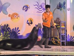 -太平洋海底世界