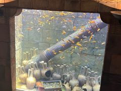 -新加坡水上探险乐园