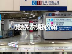 -东方体育中心(地铁站)