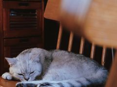 景观位-不舍昼夜咖啡馆