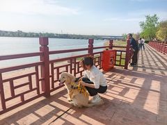 -绿堤公园