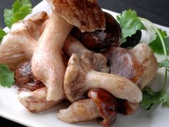-朱氏胖子烂火锅(洪崖洞店)