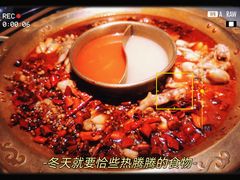 -新哥老官·畅吃123·美蛙世界(苏宁广场店)