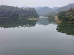 -佛山市三水区大南山森林公园