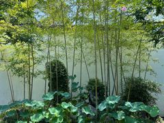 -上海醉白池公园