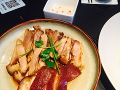 -MR鹅外