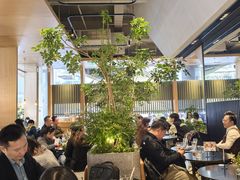 -gaga(深圳福田星河COCO Park店)