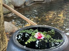 -湖泉半山温泉(湖泉生态园)