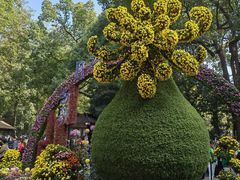 -杭州植物园