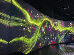 -东平国家森林公园