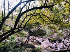 -白云源风景区