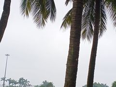 -万绿园