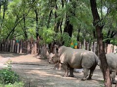-北京野生动物园