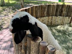 -水上乐园·欢乐世界