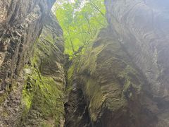 -牛背梁国家森林公园