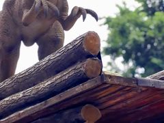 -陕西自然博物馆