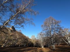 -克什克腾世界地质公园青山景区
