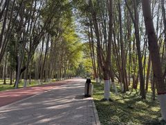 -阿尔丁植物园