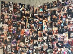 -百好乐宠物友好餐厅(朝外大街店)