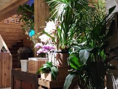 -春暖花开(西溪店)