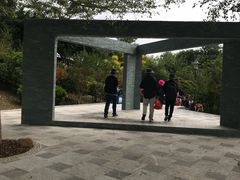 -鹤之洲湿地公园