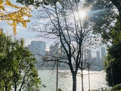 -橘子洲景区